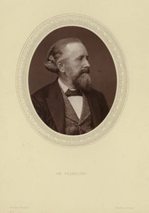 صورة السير إدوارد فرانكلاند بواسطة لوك ويتفيلد